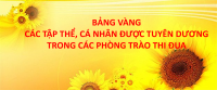 BẢNG VÀNG BIỂU DƯƠNG CÁC TẬP THỂ, CÁ NHÂN